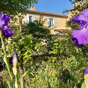 Le Petit Cochon Valence-sur-Baïse